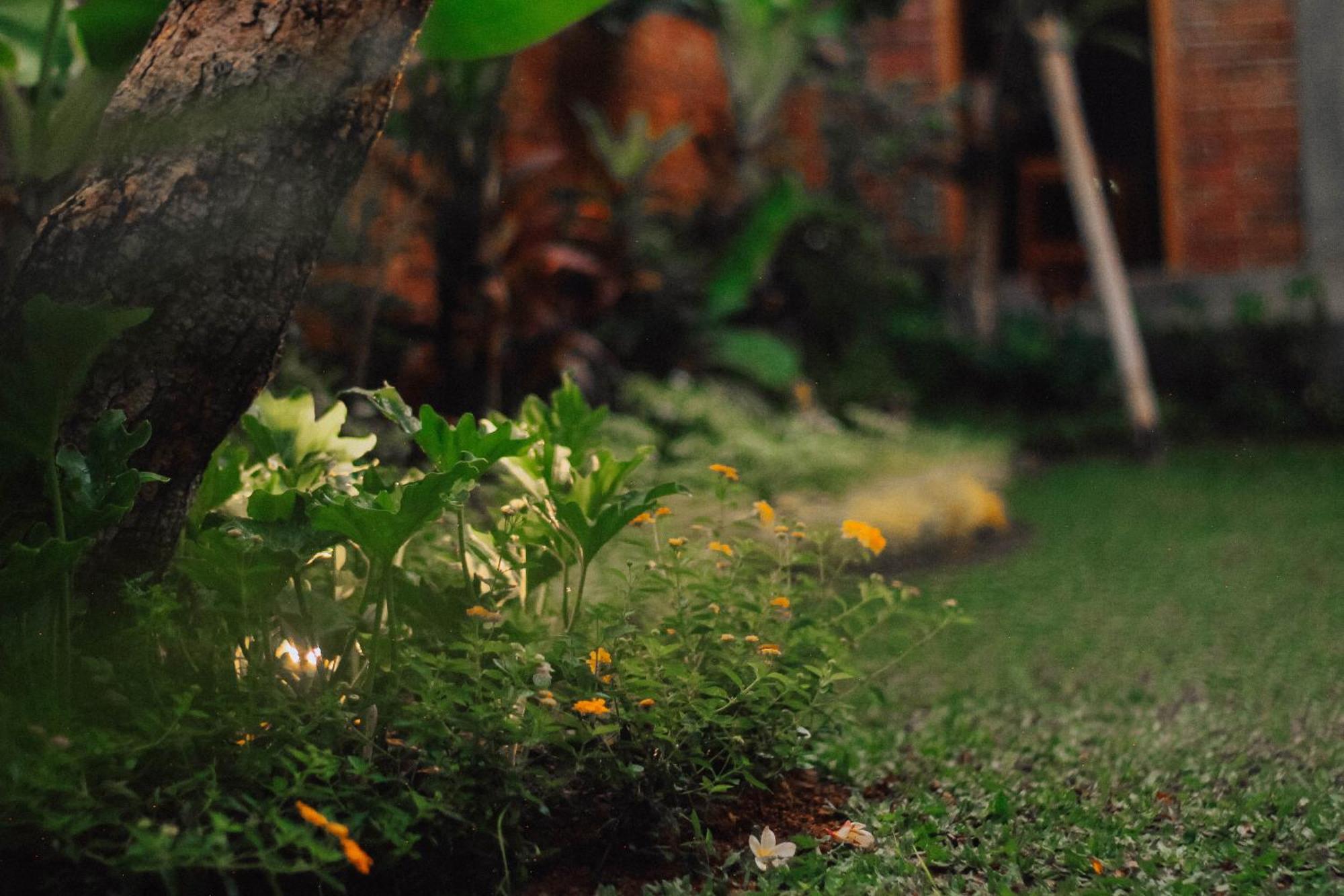 Govardan Home Stay Canggu Zewnętrze zdjęcie